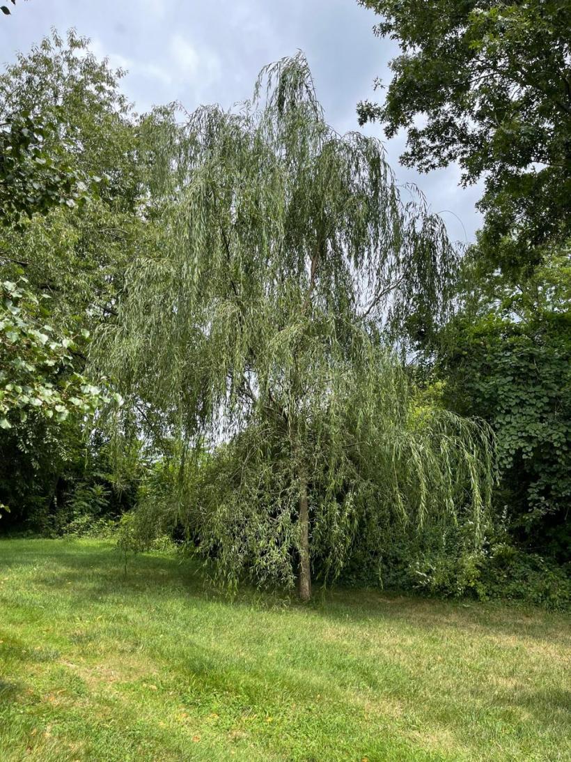 Idei simple pentru vremuri grele 18969319