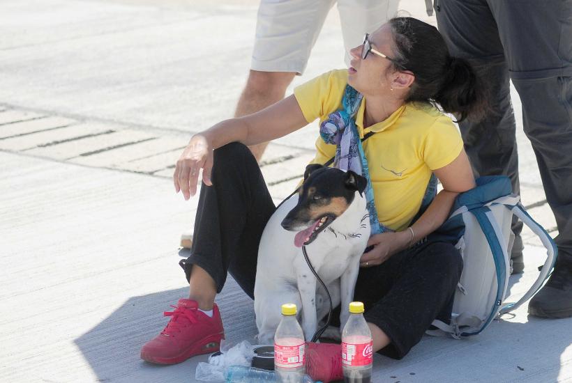 BIAS 2025. Cel mai mare show aviatic din România în imagini 18969634