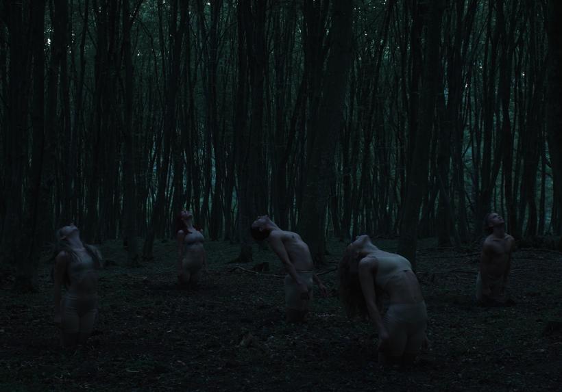 Treisprezece filme selectate în Competiția Națională de Scurtmetraj a Festivalului Internațional de Film Experimental București (BIEFF.15) 18969292