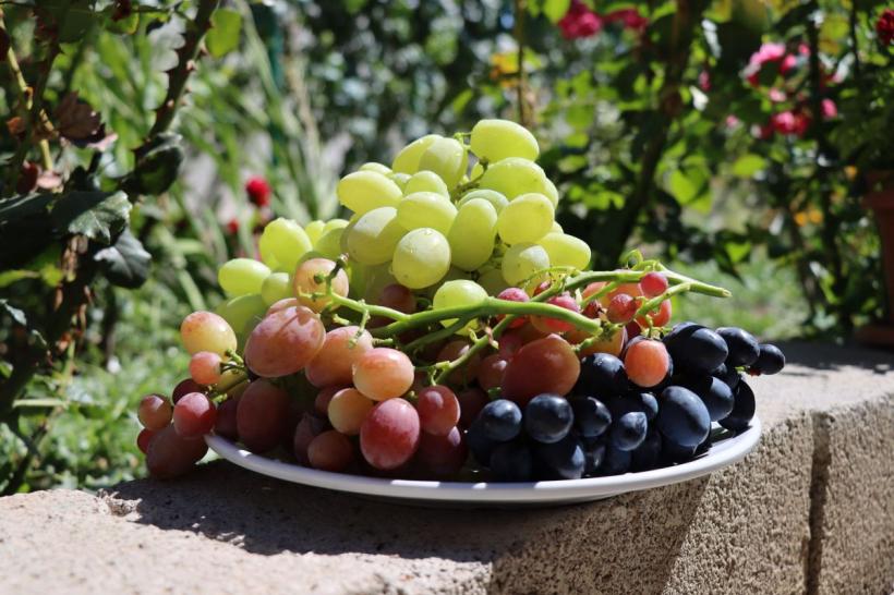 16 beneficii uimitoare ale strugurilor pentru sănătate