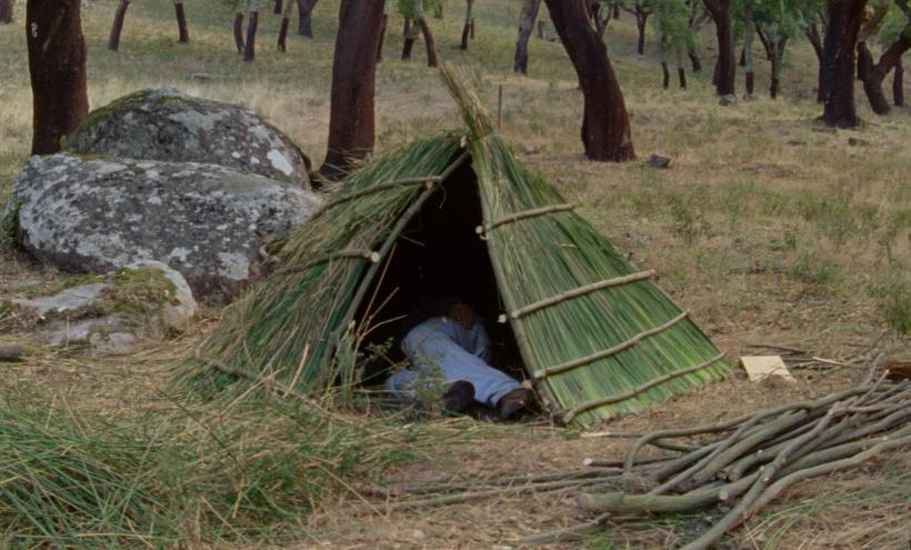 Filme de la Berlinale, Locarno, Rotterdam și Toronto, în Competiția Internațională de Lungmetraj de la BIEFF.15 18970414