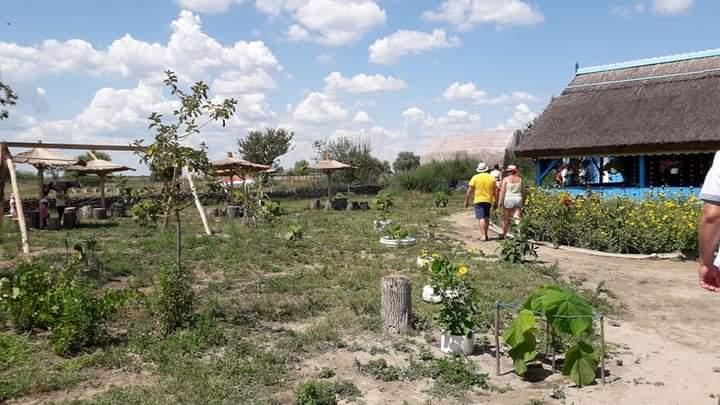 Prețurile scad în Delta Dunării, iar ofertele speciale s-au înmulțit 18970249