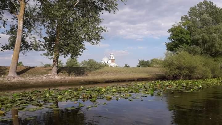 Prețurile scad în Delta Dunării, iar ofertele speciale s-au înmulțit 18970251