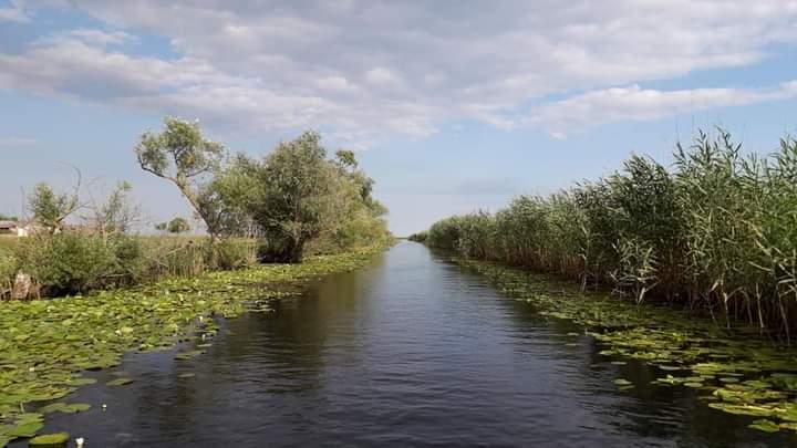 Prețurile scad în Delta Dunării, iar ofertele speciale s-au înmulțit 18970253