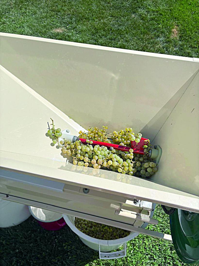 Ferma din Detroit și ogorul de lângă București 18970464