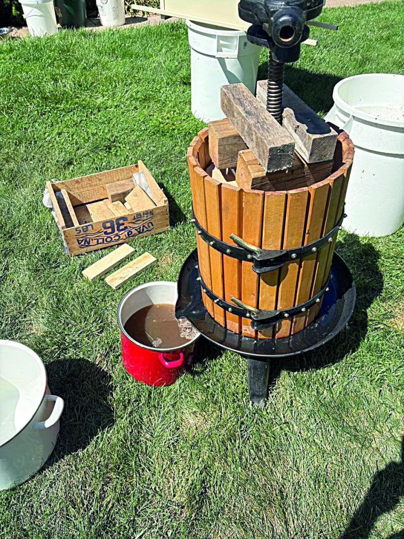 Ferma din Detroit și ogorul de lângă București 18970465