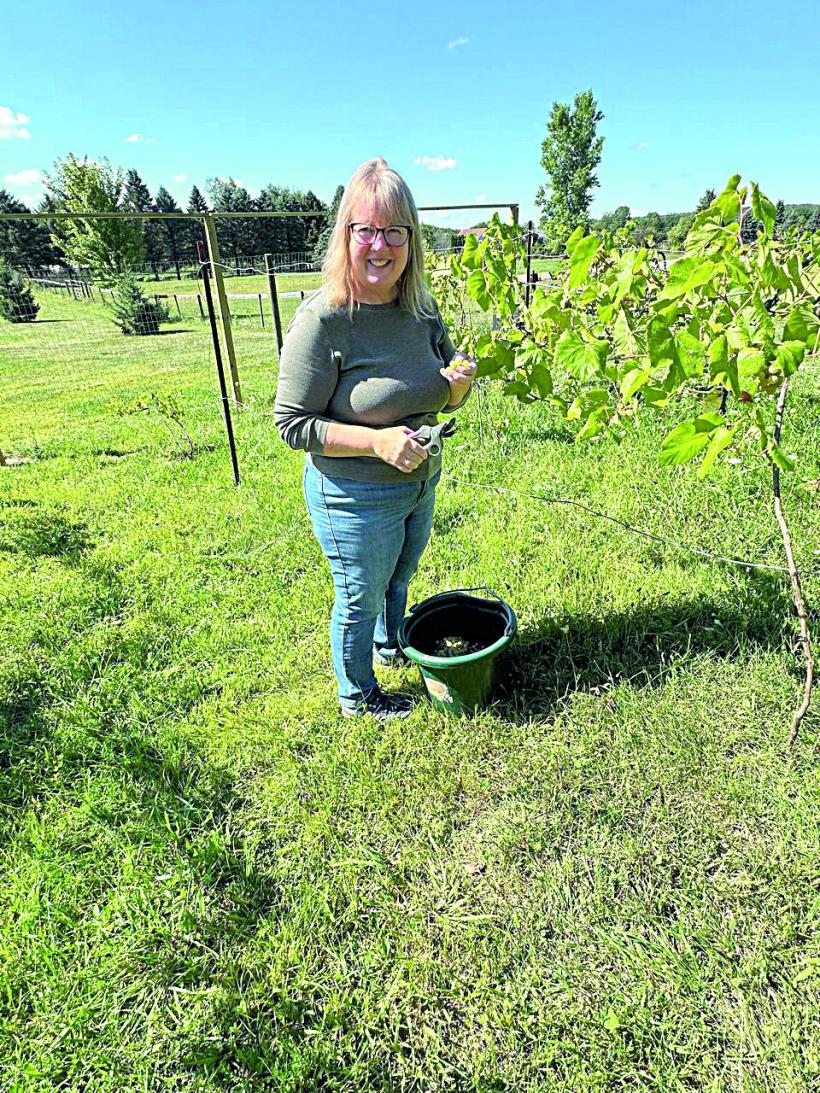 Ferma din Detroit și ogorul de lângă București 18970472