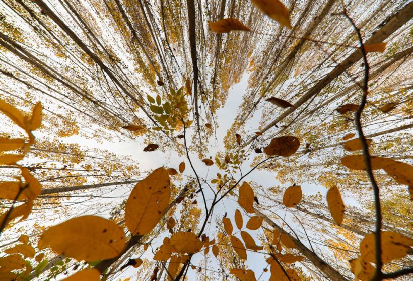 Surpriza meteo a toamnei: cât mai ține vremea caldă