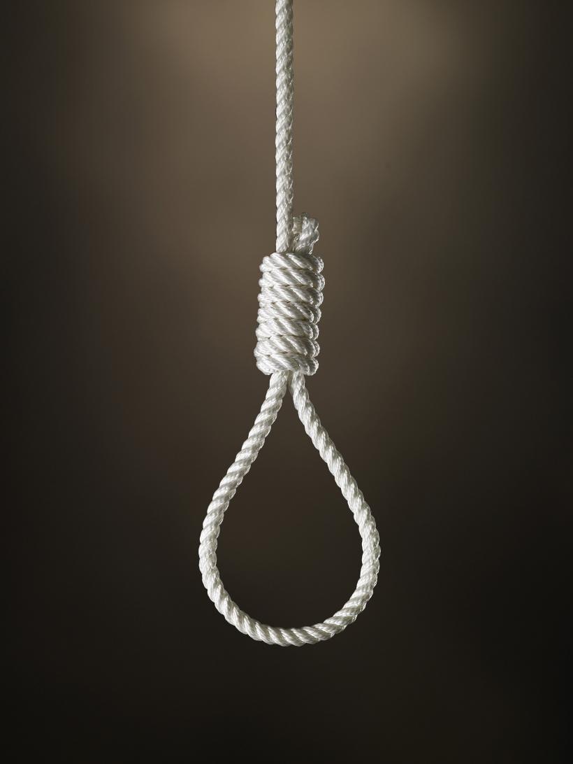 Gest extrem! Un bărbat s-a spânzurat de un copac în apropierea fermei pe care o avea