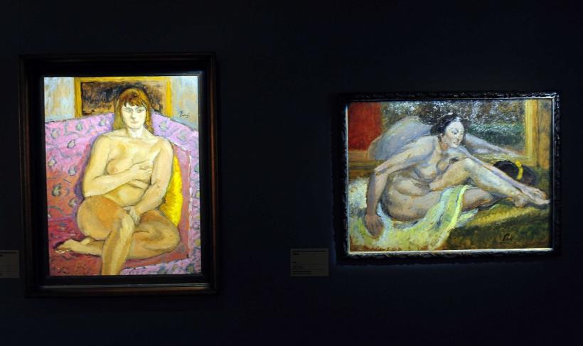 Împrumut istoric: Art Safari aduce Matisse de la Paris! 18970899