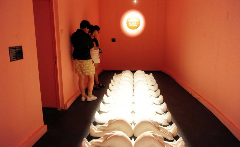 Împrumut istoric: Art Safari aduce Matisse de la Paris! 18970922