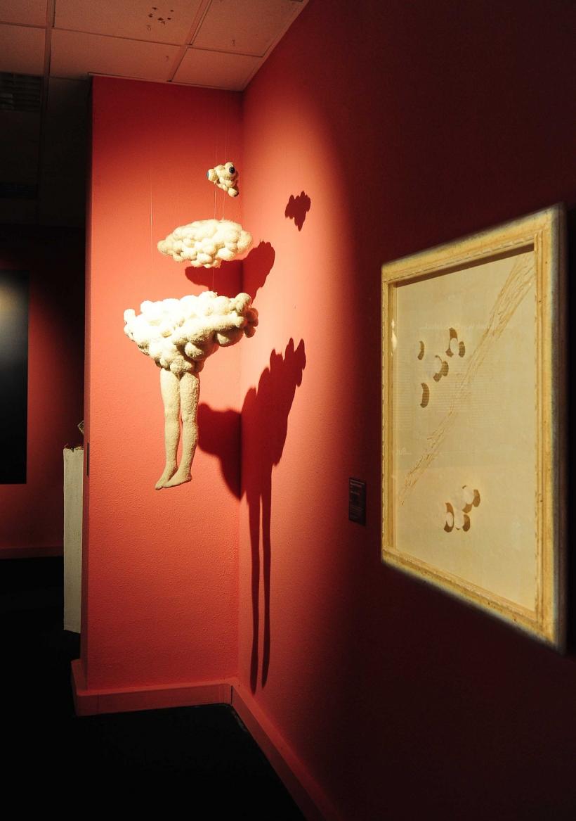 Împrumut istoric: Art Safari aduce Matisse de la Paris! 18970926