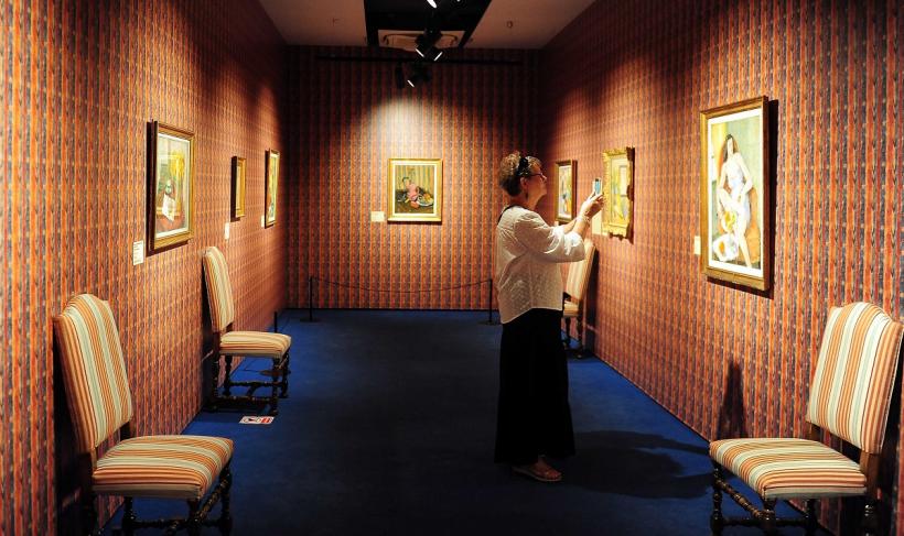 Împrumut istoric: Art Safari aduce Matisse de la Paris! 18970936