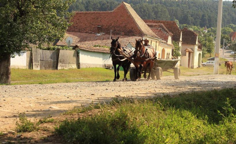 Dezvoltarea zonei montane, pe repede-înainte. Știm ce avem de făcut, mai rămâne să și facem 18970831