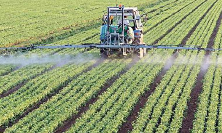 Bani pentru fermieri: Când se depun cererile de finanțare