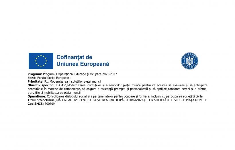 Tinerii din medii defavorizate și tranziția de la școală la piața muncii