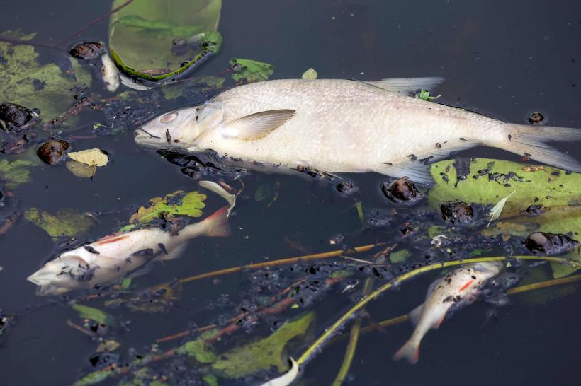 UE se pregătește să rateze obiectivele Directivei privind apa 18971423