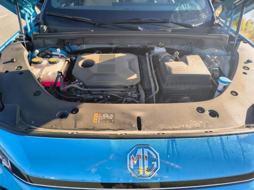 Ce înseamnă un plus la un hibrid 18971580