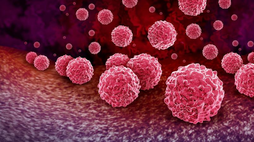 Administrația Trump oprește fondurile pentru programele globale HIV/SIDA! 18971799