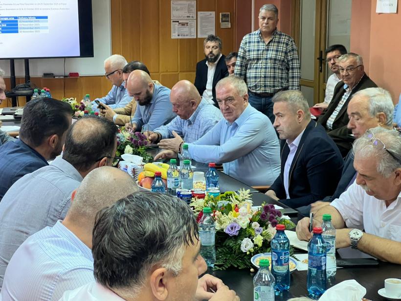 Construcția centralei Mintia este în grafic 18972106