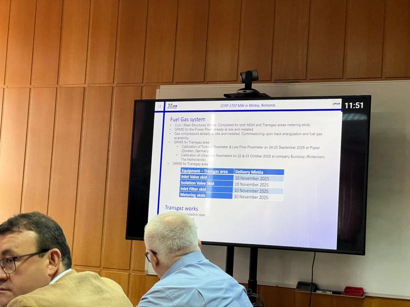 Construcția centralei Mintia este în grafic 18972119