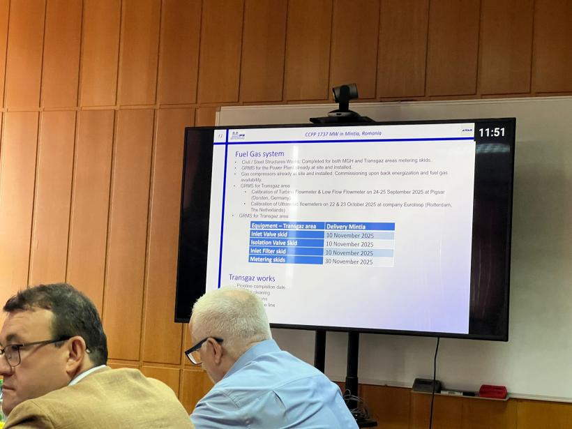 Construcția centralei Mintia este în grafic 18972122