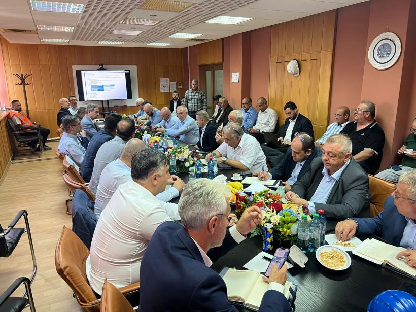 Construcția centralei Mintia este în grafic 18972131