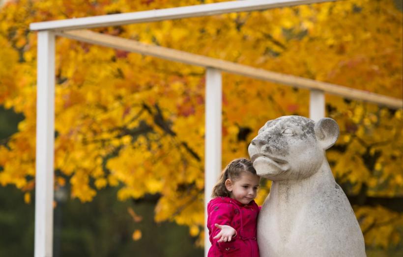 Cele mai bogate zodii: Taur, Leu, Scorpion și Capricorn – maeștrii banilor și ai succesului