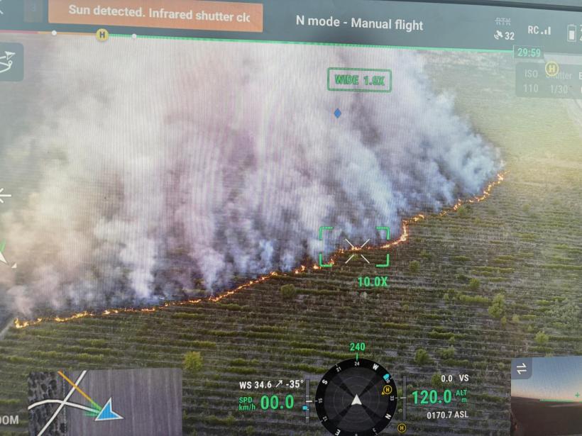 Incendiu uriaș în Teleorman: Zeci de hectare de vie și livezi au fost distruse