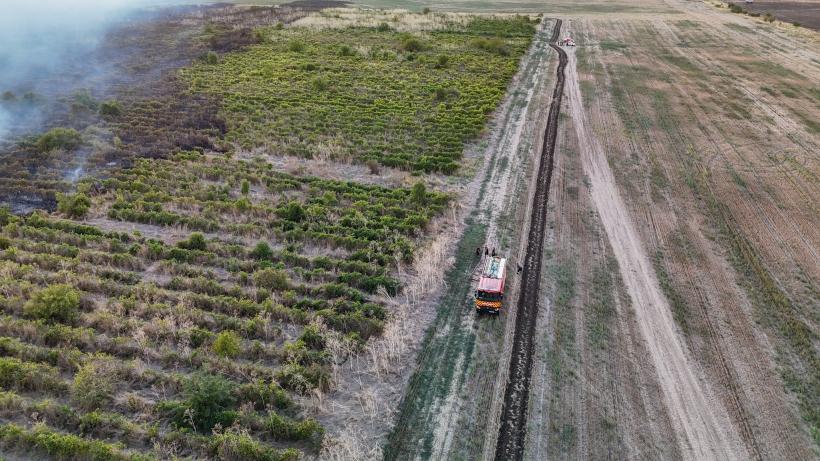 Incendiu uriaș în Teleorman: Zeci de hectare de vie și livezi au fost distruse 18973056
