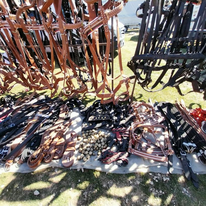 Târgul oierilor din nordul Dâmboviței concurează cu Târgul de Fete de pe Muntele Găina 18972879