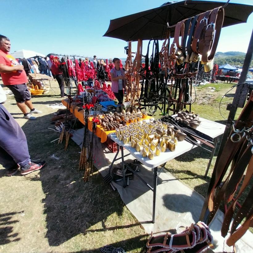 Târgul oierilor din nordul Dâmboviței concurează cu Târgul de Fete de pe Muntele Găina 18972882