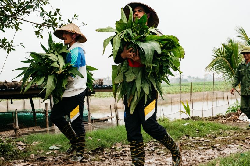 Concurenții Asia Express, cu oalele de supă prin Vietnam, spre marea imunitatea. Emisiunea, din nou lider de audiență 18974007