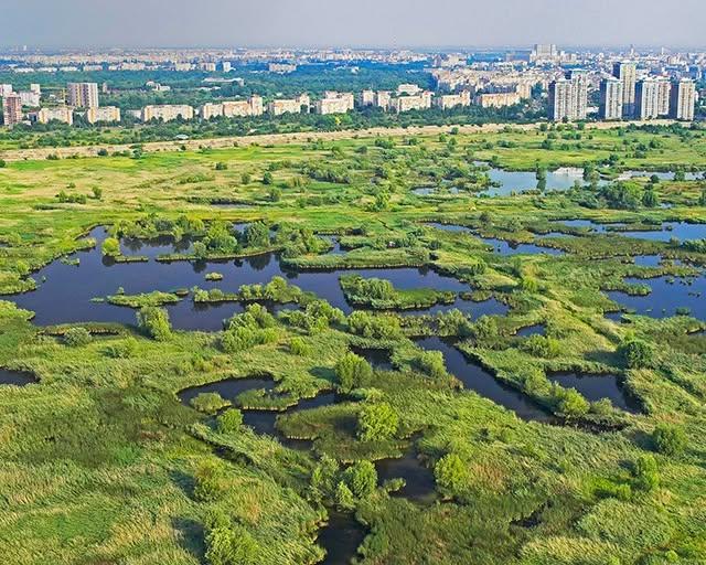 Ministrul Mediului, despre Delta Văcărești: Trebuie pusă legea în aplicare. Consecințe imediate și dure