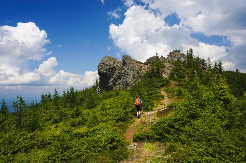  Ariile protejate vor avea planuri de urgenţă fitosanitară 