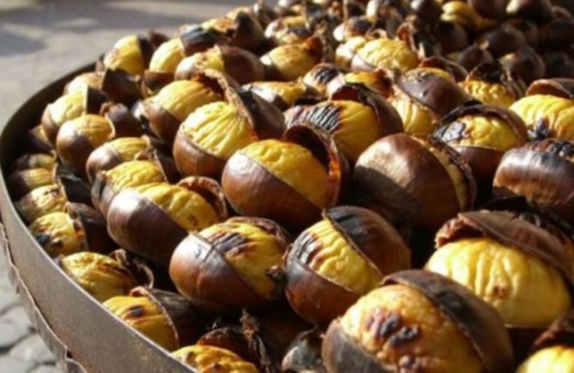 Livezile de castani au fost distruse de secetă. O renumită localitate se confruntă cu cea mai slabă recoltă din istorie