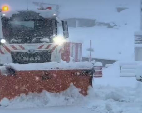 Ninge abundent la Obârșia Lotrului și în zona montană a județului Brașov
