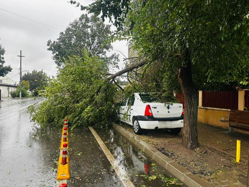 Haos în Capitală: doi copaci s-au prăbușit pe autoturisme aflate în mers. O persoană a ajuns la spital 18974639
