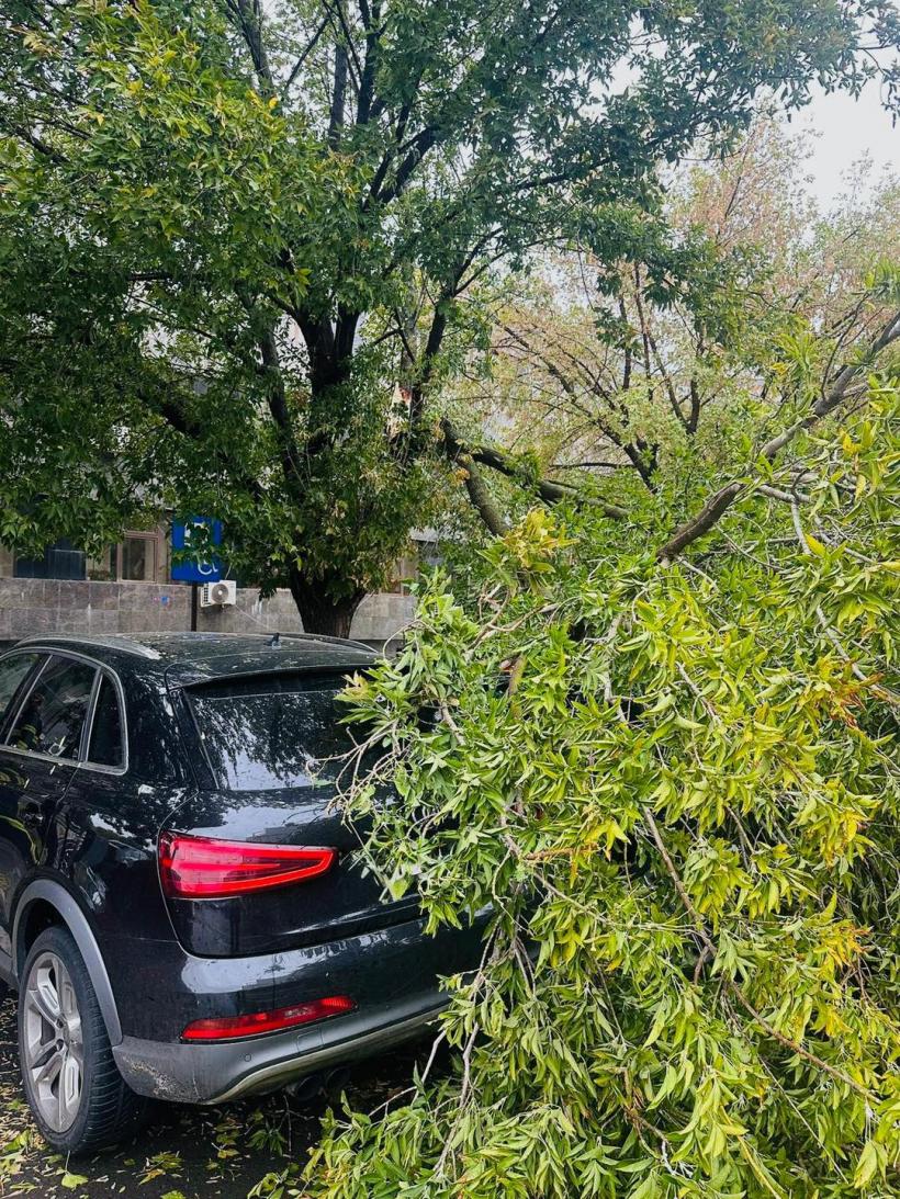 Haos în Capitală: doi copaci s-au prăbușit pe autoturisme aflate în mers. O persoană a ajuns la spital 18974640