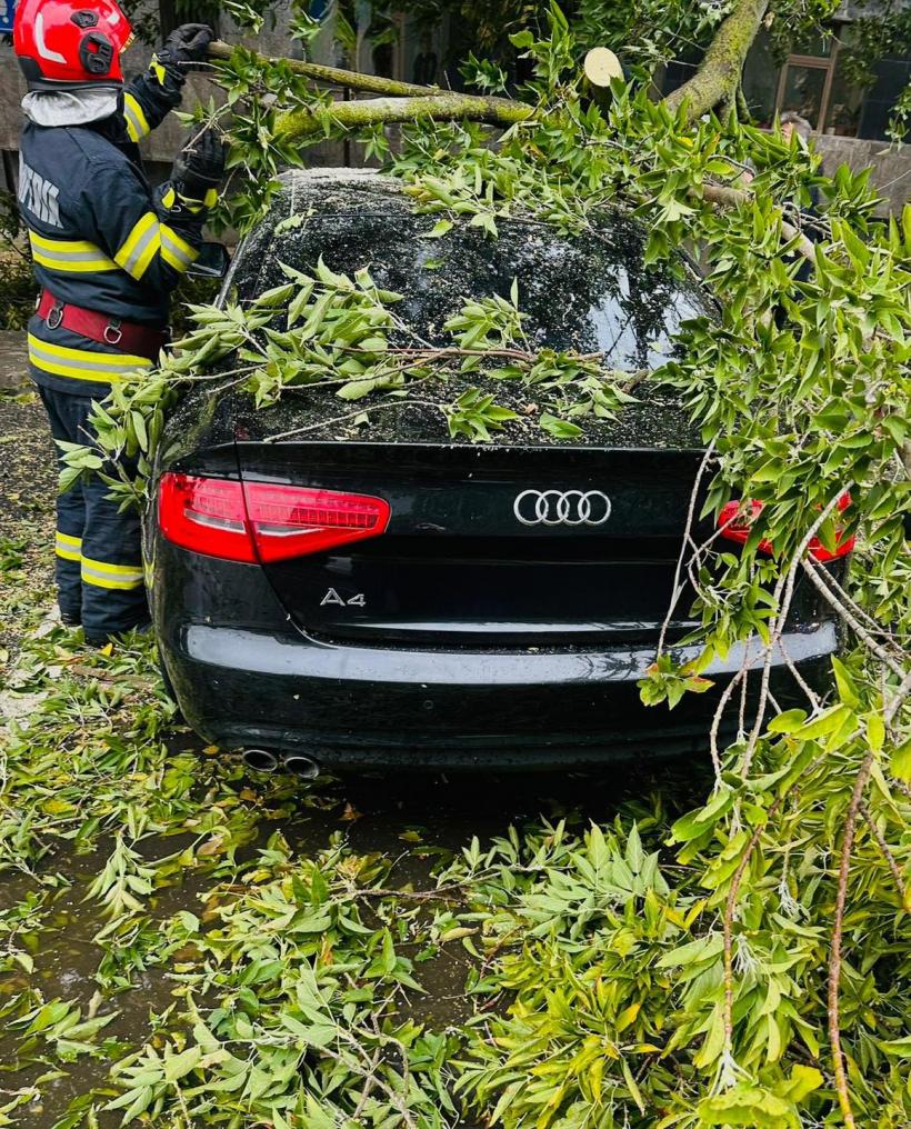Haos în Capitală: doi copaci s-au prăbușit pe autoturisme aflate în mers. O persoană a ajuns la spital 18974641