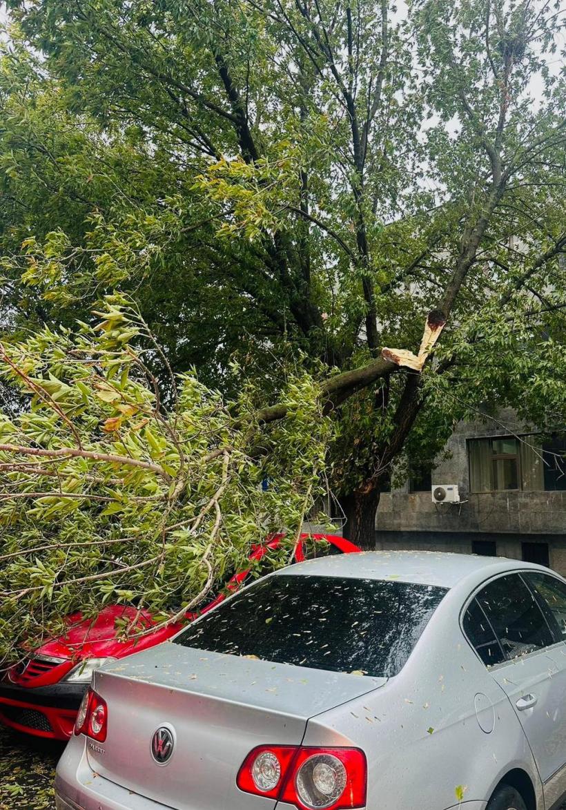 Haos în Capitală: doi copaci s-au prăbușit pe autoturisme aflate în mers. O persoană a ajuns la spital 18974642
