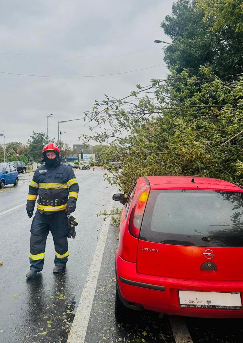Haos în Capitală: doi copaci s-au prăbușit pe autoturisme aflate în mers. O persoană a ajuns la spital 18974643