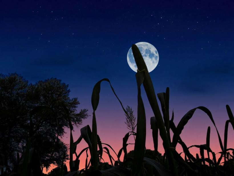 Horoscopul Lunii Pline a Recoltei, 6 octombrie – Zodiile cel mai puțin afectate