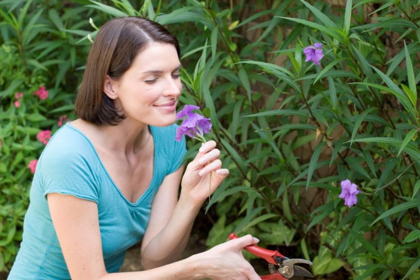 Cei născuți în Iunie: bunătatea care schimbă lumea prin acțiune