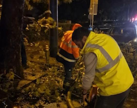 Bilanț Cod Roșu în România: Roci desprinse de pe versanți, mașini avariate și copaci căzuți 18975235