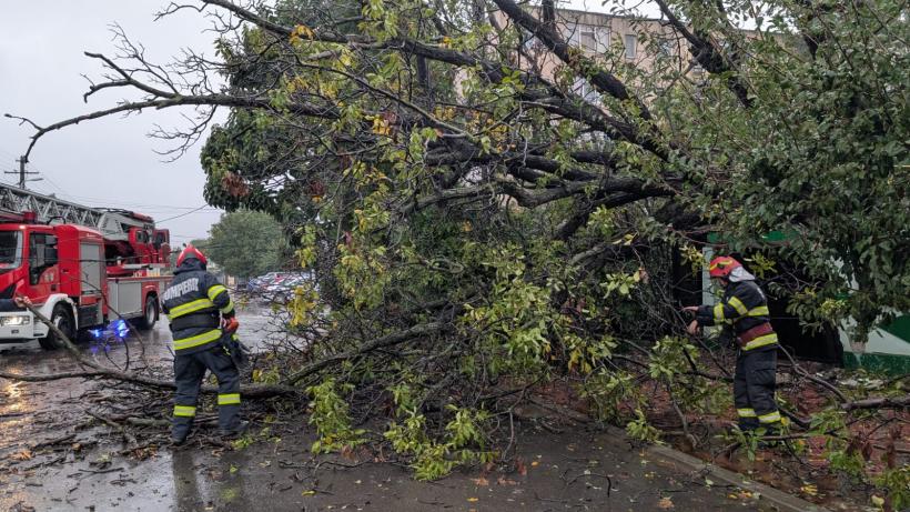 Zeci de localități, grav afectate de ploile torențiale: Inundații, copaci rupți, avarii la rețelele electrice 18975268
