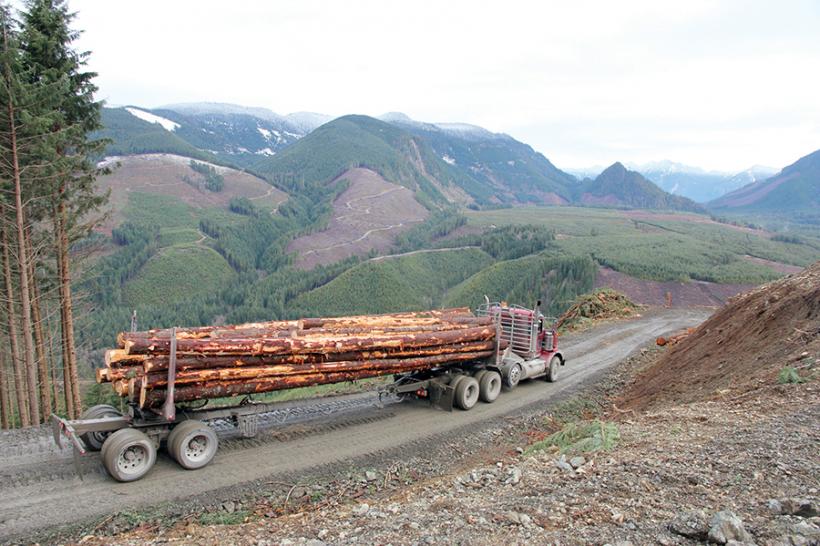 Ministrul Mediului anunță controale la persoanele care au încercat să fenteze aplicația Sumal