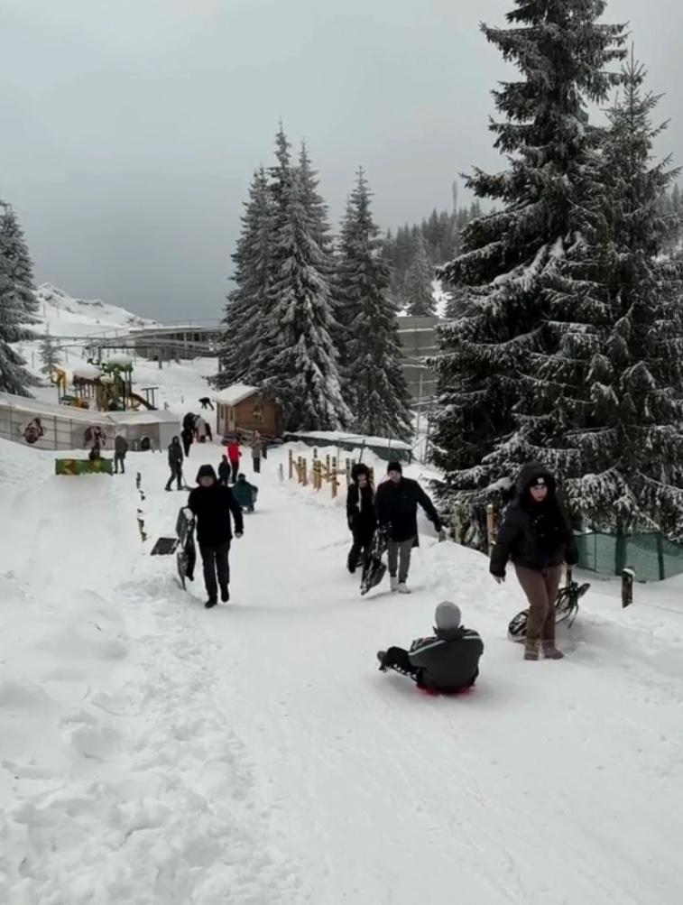 Un resort montan din Harghita concurează cu stațiunile de schi  18975342