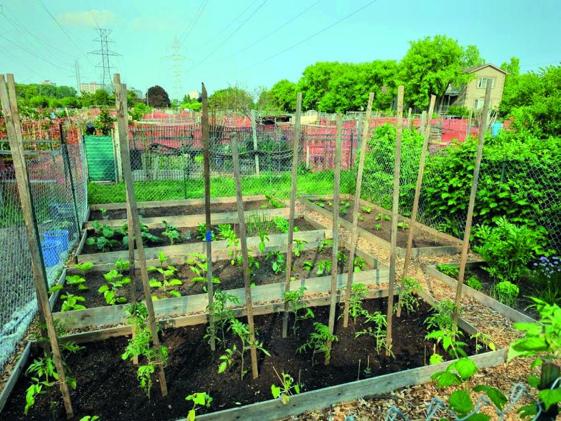 Lecția americană: când viața se scumpește, se muncește mai mult 18975485