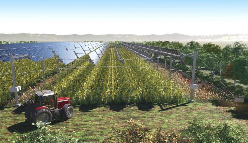 Investiție uriașă la Turceni: 380 de milioane de euro, pentru un hub de energie regenerabilă 18976205